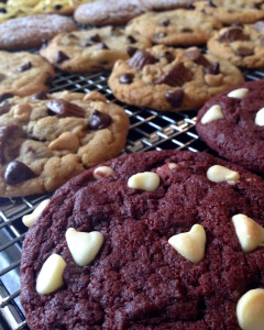 Brandy Cohen Insane Cookies